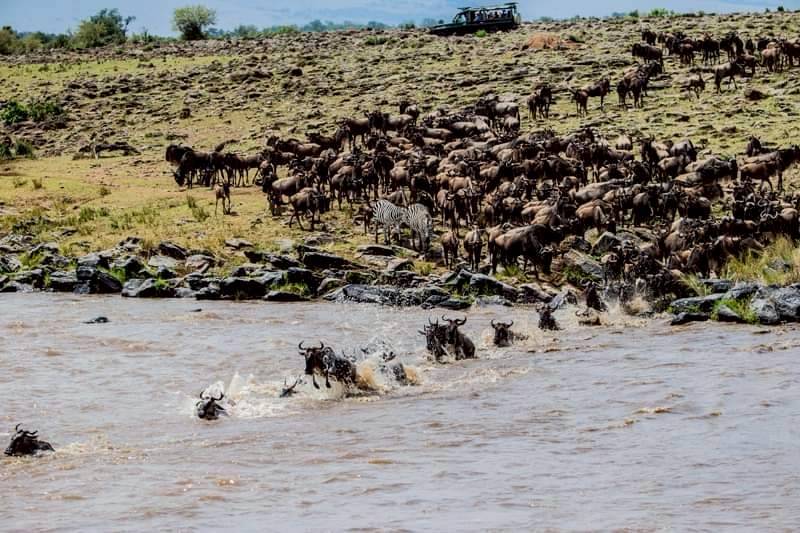 6568747_0 - 報新聞 Mega News