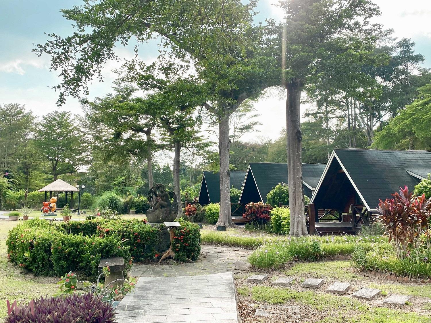 嘉義茶山、曾文水庫二日遊　走訪原鄉文化與山水美景 - https://www.watchmedia01.com