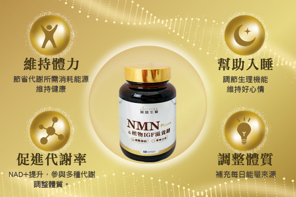 01_0 - 報新聞 Mega News