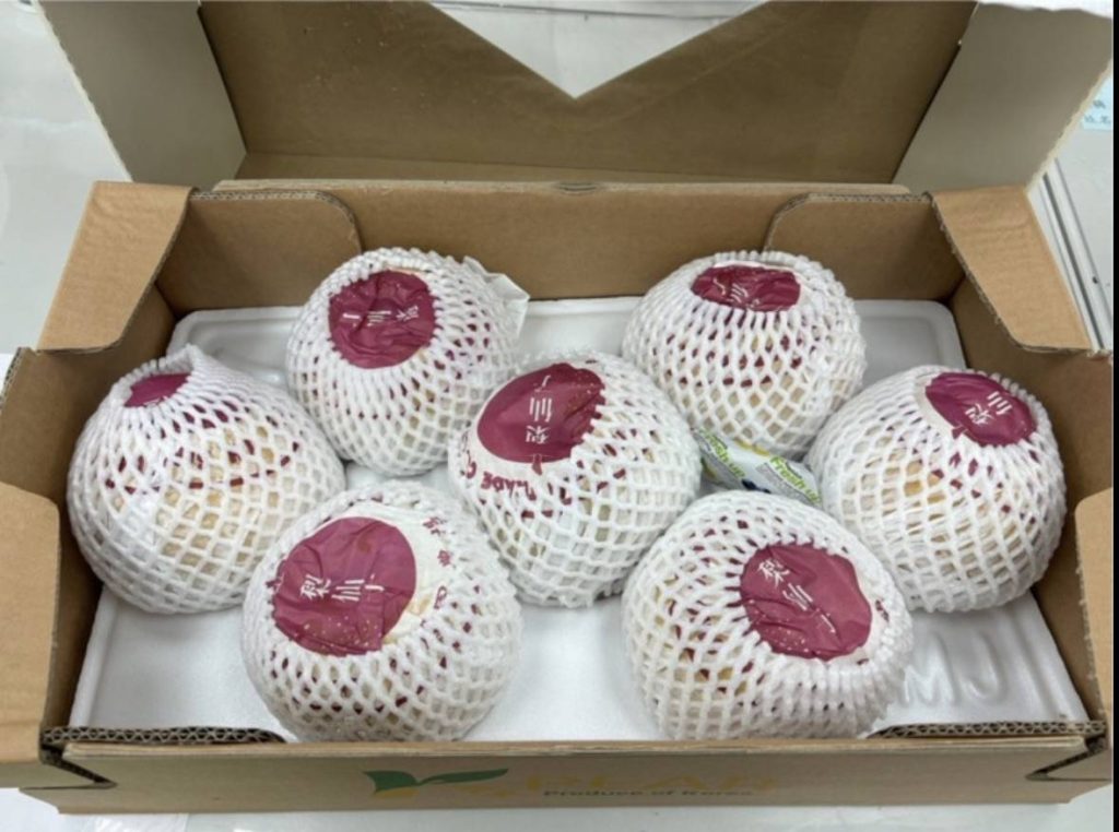 inbound2303629538395548180 - 報新聞 Mega News