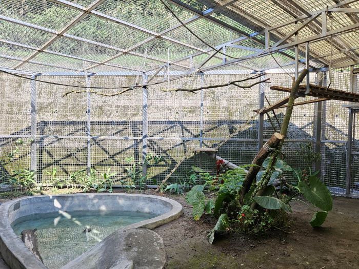 《圖說》「新北市野生動物救傷收容中心」設置戶外兩棲爬蟲類水池，打造模擬自然環境。〈動保處提供〉