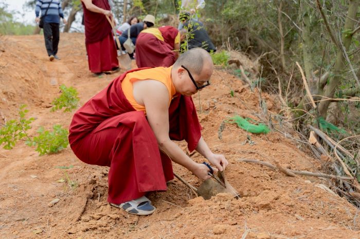 《圖說》配合當地環境,種植耐風樹種光蠟樹和九芎。〈農業局提供〉