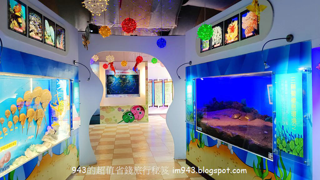 金門 小金門 烈嶼 大膽島 景點 開放時間 台灣觀巴 總兵宴 美食 小吃 金門陶瓷廠 金城酒店 pub